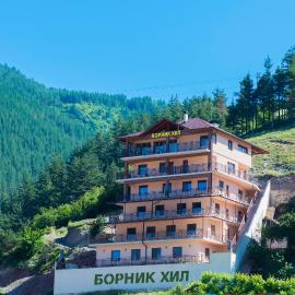 Борник Хил / Bornik Hill，位于代温的酒店