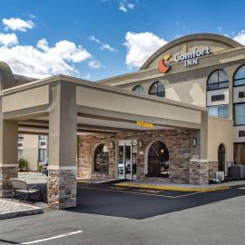 Comfort Inn Edison - New Brunswick，位于爱迪生的酒店
