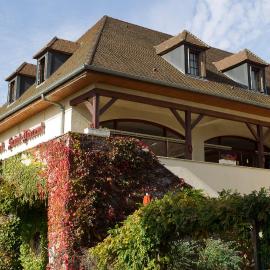Hostellerie St Vincent，位于尼伊圣乔治的酒店