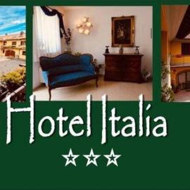 Hotel Ristorante Italia，位于切尔托萨迪帕维亚的酒店