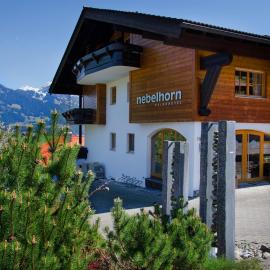 Nebelhorn Relaxhotel，位于上迈塞尔施泰因的酒店