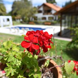 Quinta La Constanza，位于塔巴贝拉的酒店