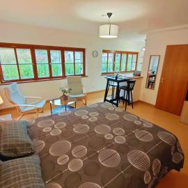 Lumineux Appartement Free Parking Nature Ville tt équipé，位于坦恩的酒店