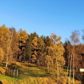Feriendomizil Am Hochwald，位于迪波尔迪斯瓦尔德的酒店