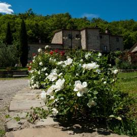 Agriturismo Azienda Agricola Il Pozzo，位于卡波罗纳的酒店
