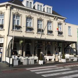Hotel de Blauwe Vogel，位于贝亨奥普佐姆的酒店