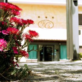 Hotel California,位于阿里恰的酒店