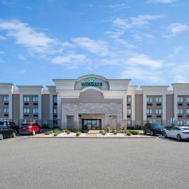 Wingate by Wyndham Detroit Metro Airport,位于罗缪勒斯的酒店