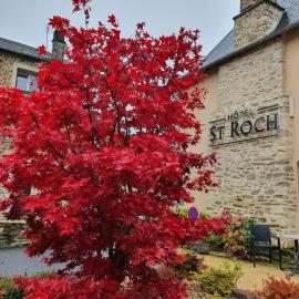 Hôtel Saint-Roch, Saint-Ybard，位于Saint-Ybard的酒店
