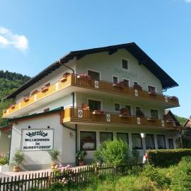 Hubertushof，位于Trattenbach的酒店