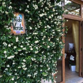 Nido Verde，位于阿杰罗拉的酒店