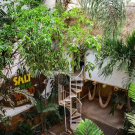 La Redonda Surf Hostel Sayulita，位于萨尤利塔的酒店