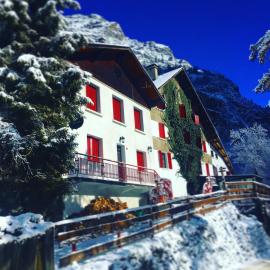 Hotel Au Bon Accueil,位于莱德萨阿尔卑斯的酒店