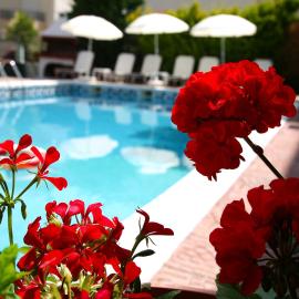 Olympus Hotel Villa Drosos,位于里托楚伦的酒店