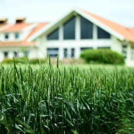Katrinebergs Folkhögskola B&B，位于Vessigebro的酒店