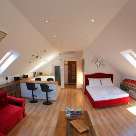 Apartament Książęcy klimatyzacja，位于扎甘的酒店