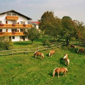 Biobauernhof Wolf-Hof，位于Pressbaum的酒店