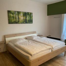 Steimke's Landhotel，位于Graue的酒店
