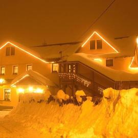 Hotel Restaurant Svejk，位于布布拉瓦的酒店
