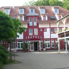Hotel Hirsch，位于辛斯海姆的酒店