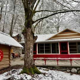 Beary Relaxing Cabin - Rustic with Outdoor Patio，位于汤森德的酒店