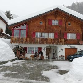 Ferienwohnung Casa Ursina，位于塞德龙的酒店