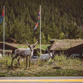 Saltdal Turistsenter，位于Storjord的酒店