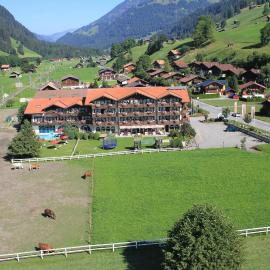 Hotel Simmenhof,位于伦克的酒店