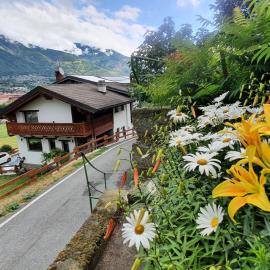 Agriturismo B&B Chèvres à Cheval，位于奥斯塔的酒店