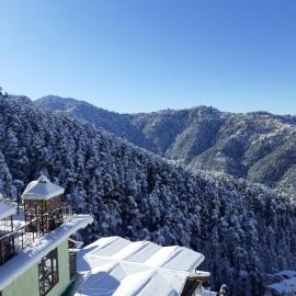 Anand Niketan Homestay Shimla，位于西姆拉的酒店