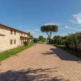 Lagolivo，位于特拉西梅诺湖畔帕西尼亚诺的酒店