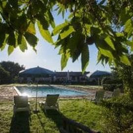 Agriturismo Poggio ai Legni，位于索维奇勒的酒店