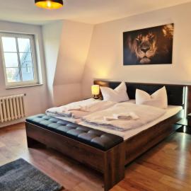 DM Hotels & Apartments - Hotel Deutsches Haus，位于Dingelstädt的酒店
