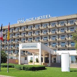 Palace Hotel Zingonia，位于韦尔德里诺的酒店