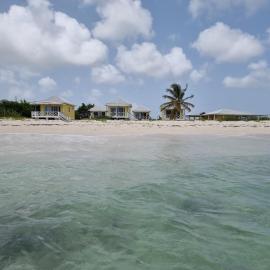 Harrys Cottages Cottage 5 right on the pink sand，位于Codrington的酒店