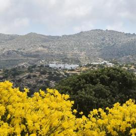 Freedom's house on Volaka Village Tinos，位于Vólax的酒店