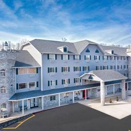 The Stone Castle Hotel & Conference Center，位于布兰森的酒店