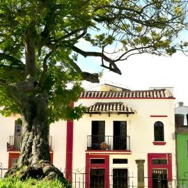 Hotel Aroma del Bosque Posada Cafe，位于通哈的酒店
