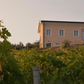 Crealto，位于阿尔法诺纳塔的酒店