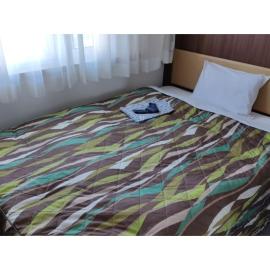 Central Hotel Toride - Vacation STAY 09913v，位于Toride的酒店