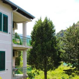 Agroturizem Hotel Vila Franceze，位于Koman的酒店