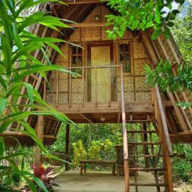 Lazy Lizard Hostel，位于锡基霍尔的酒店