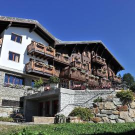 Hotel Aletsch，位于贝特默阿尔卑的酒店