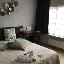 Guesthouse De Steenberg tweepersoonskamer met gemeenschappelijke grote badkamer en kitchenette en tuinzicht op de eerste verdieping，位于赫尔的酒店