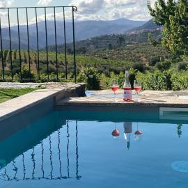 Quinta do Monte Travesso - Country Houses & Winery，位于塔布阿苏的酒店