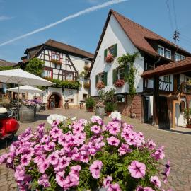 Gasthof Zum Lam，位于格莱斯策伦-格莱斯霍尔巴赫的酒店
