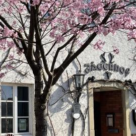 Hotel Jägerhof，位于科斯费尔德的酒店