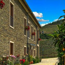 Hotel Rural da Quinta do Silval，位于皮尼昂的酒店