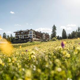 Hotel Steger-Dellai,位于阿尔卑斯休斯山的酒店