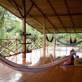 Wisdom Forest Lodge，位于特纳的酒店